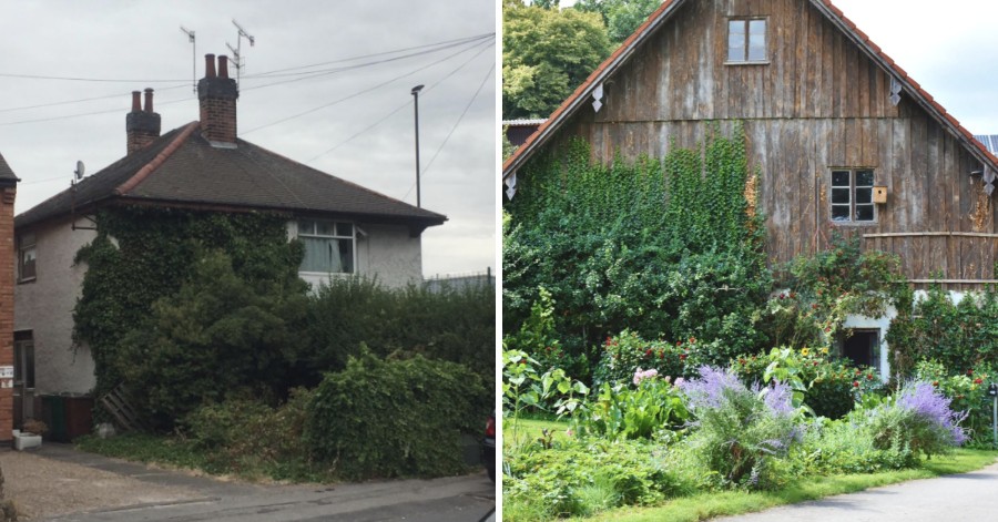 Britain’s Most out of Control Gardens: Check Your Neighbour's Garden