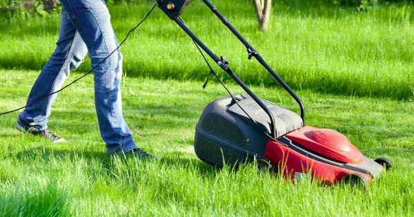 Eight Simple Ways to Make Your Lawn Look Brand New (1)