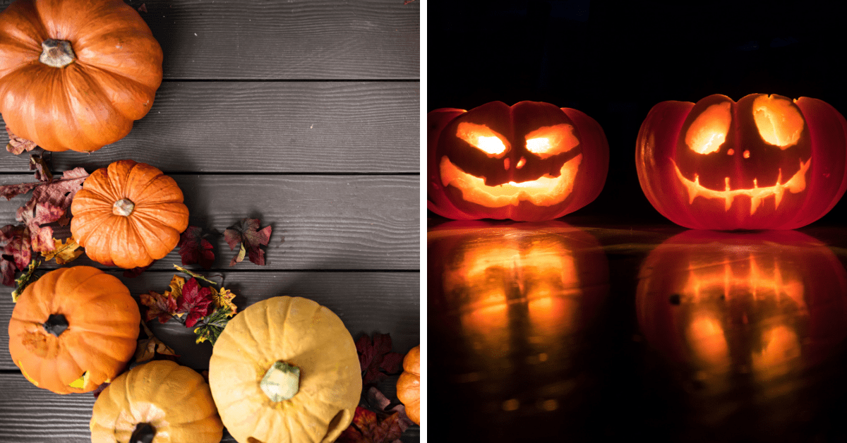 Five Tips For Picking the Best Pumpkin for Halloween