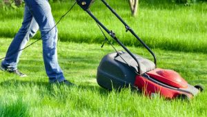 Eight Simple Ways to Make Your Lawn Look Brand New