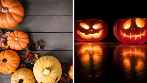 Five Tips For Picking the Best Pumpkin for Halloween